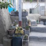 اقامتگاه بومگردی سنتی کوی نیک ابهر زنجان