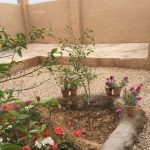 اقامتگاه بومگردی سنتی فانوس تنگستان بوشهر
