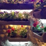 هتل صخره ای کندوان اسکو تبریز آذربایجان شرقی