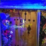 هتل صخره ای کندوان اسکو تبریز آذربایجان شرقی