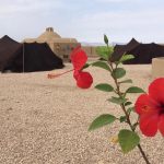 اقامتگاه بومگردی سنتی دیکاکو طبس خراسان جنوبی