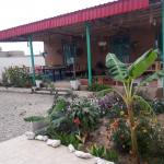 اقامتگاه بومگردی سنتی گبگو تنگستان بوشهر