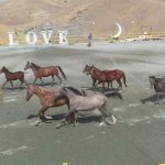 اقامتگاه بومگردی سنتی شاسوار سنندج کردستان