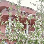 اقامتگاه ها بومگردی سنتی عمارت کوهستانی ماریکو زواره اصفهان