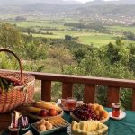اقامتگاه ها بومگردی سنتی کلبه چوبی الیزه بابلکنار مازندران