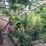 اقامتگاه بومگردی رویین دژ