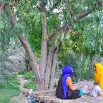 اقامتگاه بومگردی باغ هنر در روستای ساحلی سلخ شهر قشم استان هرمزگان