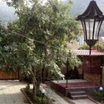 اقامتگاه بوم گردی ناژو مینودشت گلستان