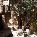 اقامتگاه سنتی و بومگردی آویشن کوهبنان کرمان