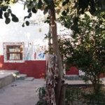 اقامتگاه بوم گردی مادر حسن جزیره ی هرمز هرمزگان