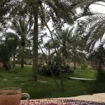 اقامتگاه بوم گردی بامحمود جزیره قشم استان هرمزگان