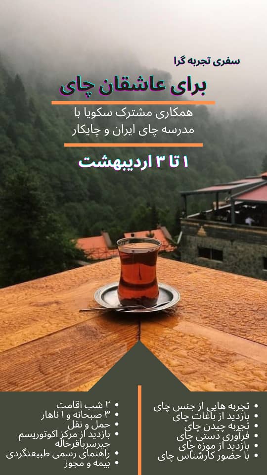 سفری تجربه گرا برای عاشقان چای