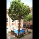 اقامتگاه بوم گردی کوبه یزد